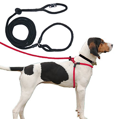 Harness Lead Escape Resistant Reduces Pull