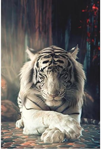 White Tiger's Stare DIY 5D Diamond Painting by Number Kits, Nesix Crystal Rhinestone Tree Embroidery Paintings Full Drill Arts Craft for Home Wall Decor(30X40CM) (30X40cm)