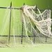 Fun Express 1 X Natural Creepy Cloth - Halloween Party Supplies & Decorations & Halloween Party Decorations