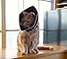 All Four Paws Comfy Cone Pet Cone for Dogs, Cats, X-Small, Black - Comfortable Soft Dog Cone Collar Alternative for After Surgery, Wound Care, Spay, Neuter - Dog and Cat Recovery Elizabethan-Collar