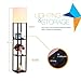 Brightech – Maxwell USB Shelf Floor Lamp – Mood Lighting for your Living Room and Bedroom – Shade Diffused Light Source with Open-Box Shelves – Classic Black