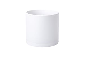 D'vine Dev 8 Inch Plastic Planter Pots for Plant Pot with Drainage Hole and Seamless Saucers, White Color, 74-X-A-1