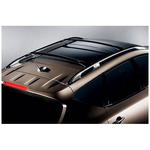 2009 - 2010 Nissan Murano Cross Bars