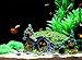 OIIKURY Aquarium Decorations Fish Tank Ornament Reptile House Shelter Decor Aquarium Hillside with Betta Cavethumb 2