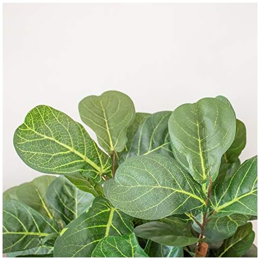 Nearly Natural 6ft Fiddle Leaf Fig Artificial Trees, 72in, Green