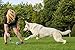 4LegsFriend Rope Toys for Large Dogs & Puppies 4-Pack – Natural Cotton Rubber Tug-of-War Toy Set – Tough Dog Toys for Aggressive Chewers Improve Dental Hygiene – Machine-Washable Dog Rope Toy Ropes