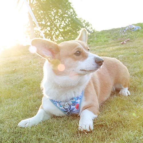 voopet Beach Style Soft Dog Harness, Puppy Breathable Mesh Front Padded Vest Harness with Leash, Island Style Pets Adjustable No-Pull Walking Harness - Easy Control for Small Dogs & Cats
