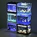 Womdee LED Aquarium Mini Fish Tank, Clear Bettas Fish Tank Block Fish Tank Reptile Box USB Office Table Decoration Ocean Micro-Landscape Box Miniature Pet with Color Changing Light Effects, Blackthumb 1