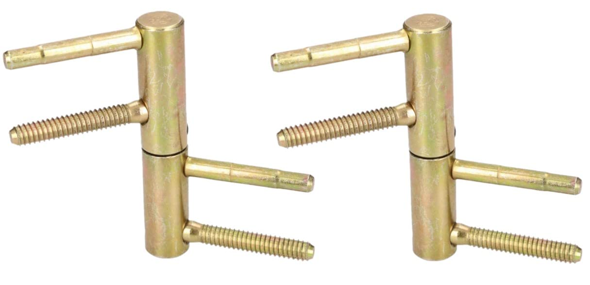 KOTARBAU® Set of 2 Drill Hinge 20 mm Brass Universal Door Hinge Front Door Hinge Robust Frame Strap Feeding Door High Load Capacity Cylinder Head Adjustable