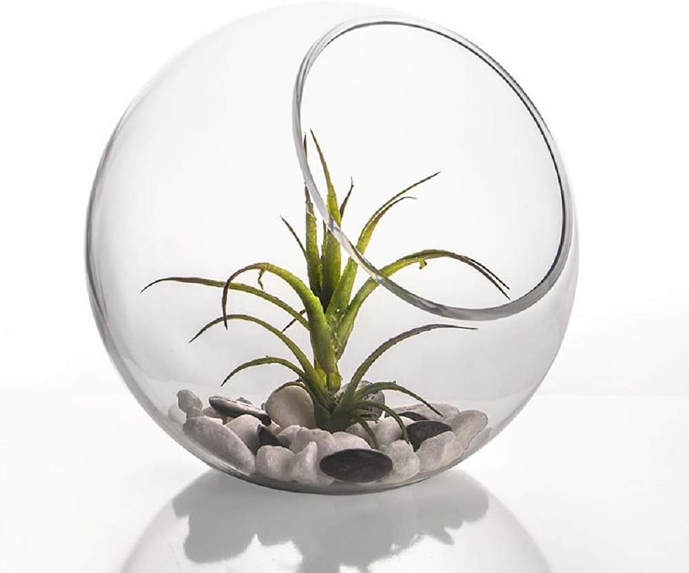 Solavia Clear Glass Round Sphere Slant Bowl Asymmetrical