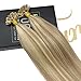 Sunny 18inch U Tip Hair Extensions Human Hair Dark Ash Blonde to Bleach Blonde Highlight Extensions U Tip Keratin Remy Hair Extensions 1g/1s 50G