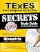 TExES Core Subjects EC-6 (291) Secrets Study Guide: TExES Test Review for the Texas Examinations of Educator Standards