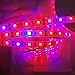 Toogod 16.4ft/5m 5050 Waterproof LED Strip Plant Growing Light Red Blue 4:1 Grow Light(Updated), Not Included Power Plug