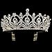 Sppry Women Tiara with Comb - Queen Crystal Crown for Bridal Girls at Wedding Prom Birthday Party, Gold