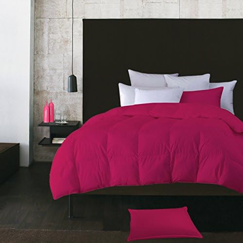 Adrien Lewis Microfiber White Duck Feather Duvet and Pillow, Twin, Fuschia