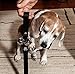 Athenas Pets Dog Bells for Potty Training, Best Dog Bell for Puppy Training, Adjustable Dog Door Bell, Premium Quality Nylon Dog Training Bells for Door for Dog Potty Training, Loud Dog Doorbell