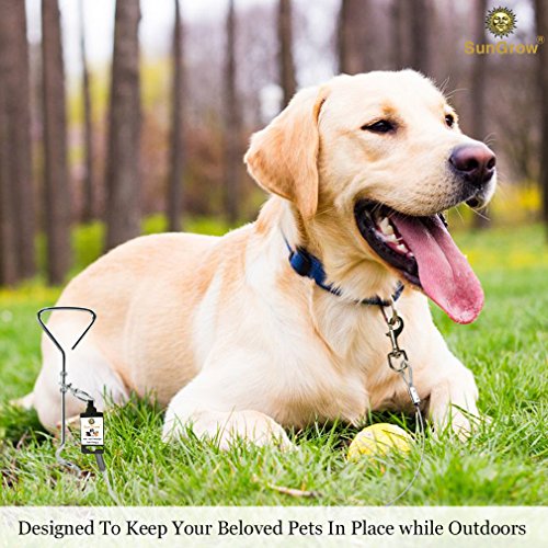 image for SunGrow Stainless Steel Tie Out Leash Stake 360 Degree Rotating Ring- 