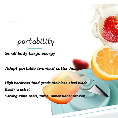 DULPLAY Juice Blender,Smoothie Maker,USB ChargerType, (18,000 RPM