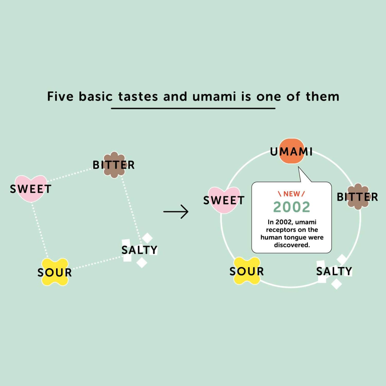 AJI-NO-MOTO - Monosodium Glutamat, (1 X 1 KG) 7