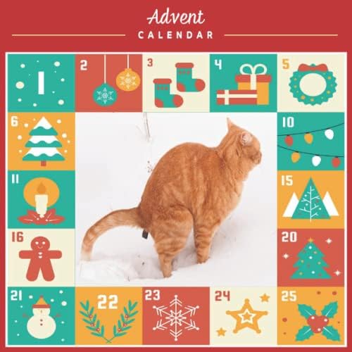 Advent Calendar Advent Calendars Pooping Animals Advent Calendar