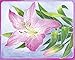 Ravensburger Aquarelle Flowers Arts & Crafts Kit