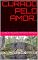 Livro CURADO PELO AMOR..: UM ROMANCE NOS PAMPAS GAÚCHO.