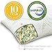 Modway Relax Shredded Memory Foam Pillow - Standard/Queen Size Extra Firm Pillow White