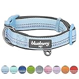 Blueberry Pet Soft & Comfy 3M Reflective Pastel Color Padded Dog Collar, Matching Leash & Harness Available Separately