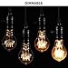 Vintage Edison Bulbs 40W/110V E26 E27 Base A19 Dimmable Antique Style Incandescent Warm White Tungsten Filament Bulb for Home, Restaurant, Coffee Shop, Hotel, Clothing Store Decoration