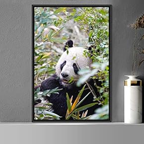 signwin Framed Canvas Wall Art Panda Animals Bear...