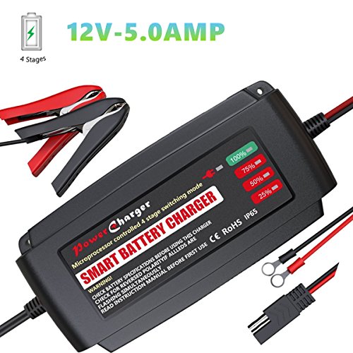 The 10 best battery float charger 5a Sideror Reviews
