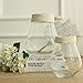 Noah Decoration Hand-Blown and Handmade Hemp Rope Clear Glass Transparent Flower and Filler Vase for Home and Wedding Indoor and Outdoor Decoration Size Medium