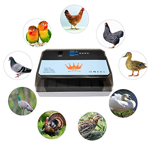 YJYQ Brutmaschine Vollautomatisch 15 Hühner Eier Brutgerät, Intelligent Brutautomat Motorbrüter mit LED – Bild 4