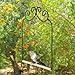 Outdoor Home-X Hummingbird Swing. Metal Frame Hummingbird Swing with Wooden Dowel, Model: SH723, Garden Store, Repair & Hardware