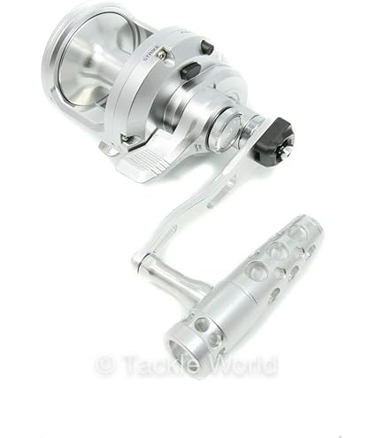 Amazon.com: Shimano OCEA Jigger LD Conventional Reels
