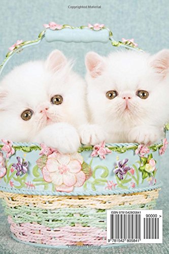 precious persian kittens