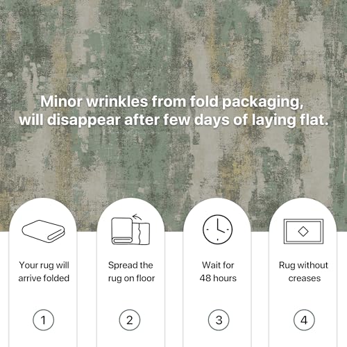 BEIMO Short Pile Living Room Rug, Abstract Modern Non-Slip Washable Rugs, Large Carpet for Living Room, Bedroom, Dining Room, Sage Green, 300X400CM
