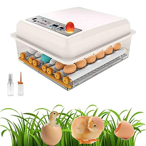 Inkubator Vollautomatisch Brutmaschine 16 Eier, Mit LED Temperaturanzeige Und Automatischer Eierbrutkasten, Für Hühner…