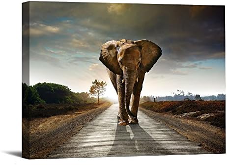 1 Piece With Framed Prints Artwork Elephant Pictures Paintings on Canvas Wall Art for Home Decor 12"X16" Ready to Hang