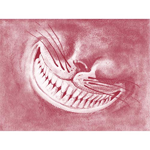 Alice Wonderland Cheshire Cat Smile Canvas Wall Art Print