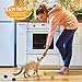 YGDZ Crinkle Cat Balls Toys, 20 Pack Original Mylar Cat Crinkle Balls Glitter Indoor Cat Kitten Toys, Interesting Crinkly Sounds