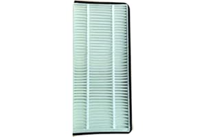 Beuiouer FV10VE1 Projector Dust Air Filter Replacement for FV10VE1，FV-10VE1， FV10VEC1，FV-10VEC