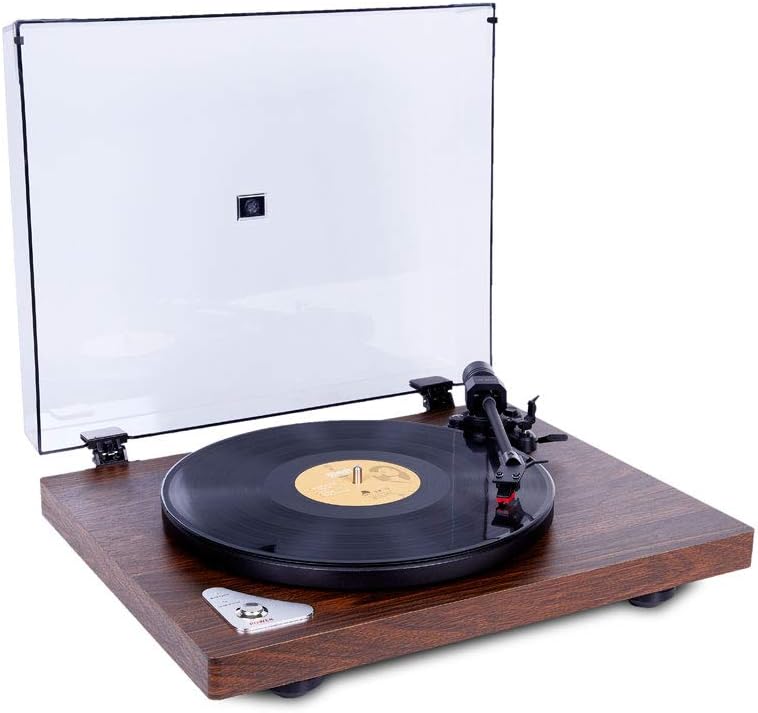 Wireless Turntable HiFi System Audio Phonograph Modern Fashion Vinyl Record Player with Moving