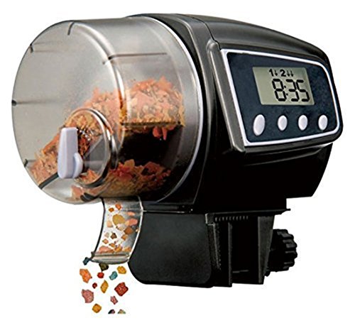 Diy Auger Fish Feeder Name