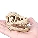 Saim Aquarium Decor Resin Emulational Dinosaur Skull Ornament Smallthumb 1