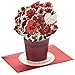 Hallmark Paper Wonder Pop Up Valentines Day Card, Displayable Bouquet (Today, Tomorrow, Always), 699VFE1171