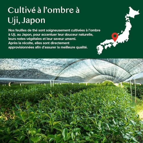 Poudre de Matcha à la Vanille 100g-50 Tasses | Matcha Uji & Vanille de Madagascar | 100% Naturel | Thé Vert Japonais Premium | Pour Latte & Thé