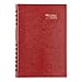 Brownline 2020 CoilPro Daily Appointment Book/Monthly Planner, Bright Red, 8 x 5 Inches (CB634C.Red -20)