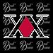 Hunter x Hunter License SMALL Vinyl Car/Laptop Decal