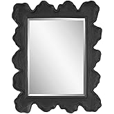 Uttermost Sea Coral Blk 27.13-in x 34.25-in Mirror